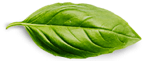 Alt logo leaf